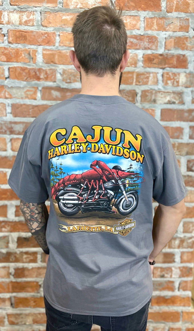 H-D COMING/GOING DRK GRY Cajun Harley Davidson T-Shirt